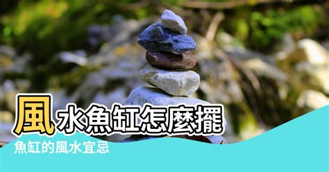 水族箱 風水|風水魚缸怎麼擺？這些要點記下來旺財又旺運